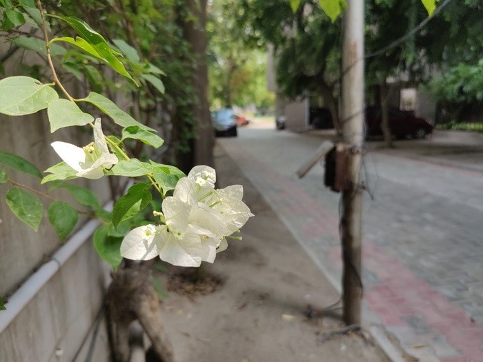 OnePlus 8 Pro Review: Big Time for OnePlus! - oneplus 8 pro camera sample 7