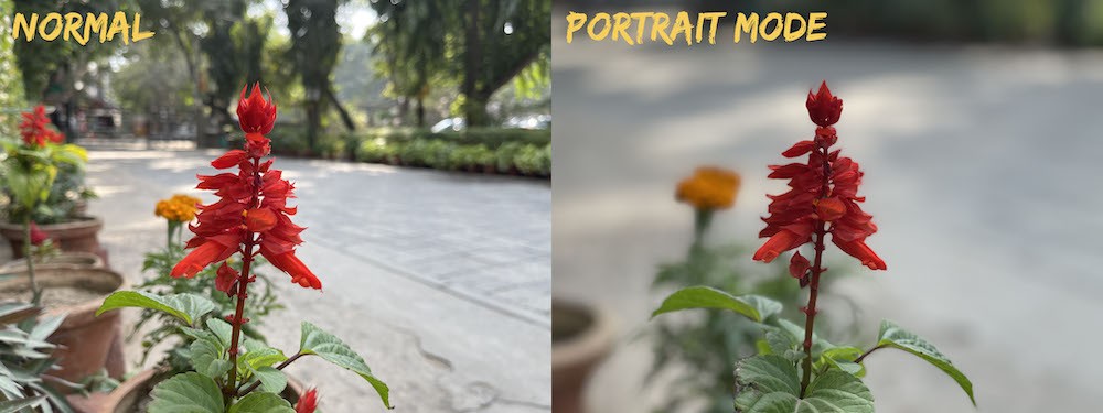 How to get great Bokeh without Portrait Mode on Smartphones - normal vs portrait 4