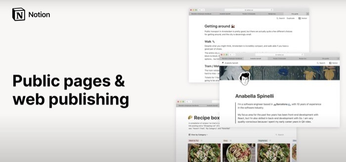 Notion public pages and web publishing