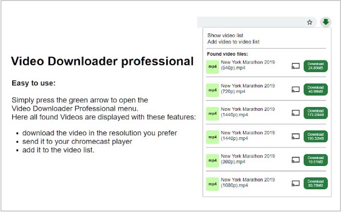 Video Downloader professional