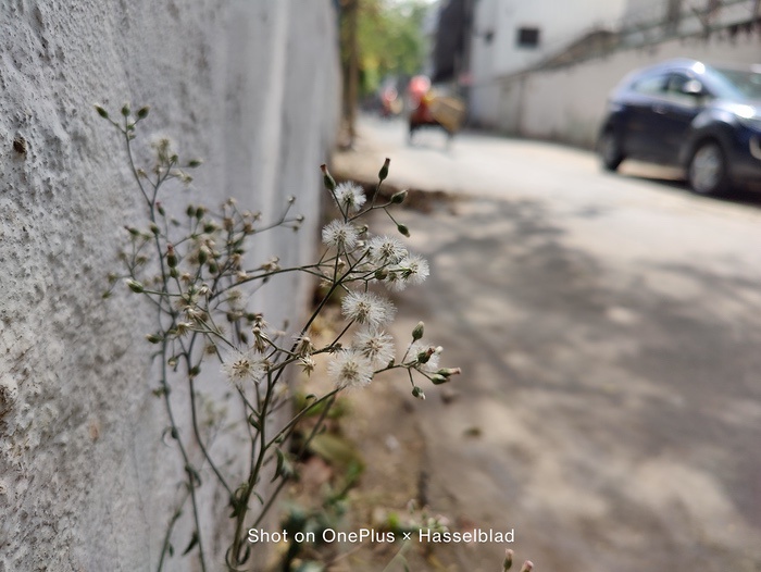 OnePlus 9 Pro Review: Android gets its spec monster - IMG 20210319 103418