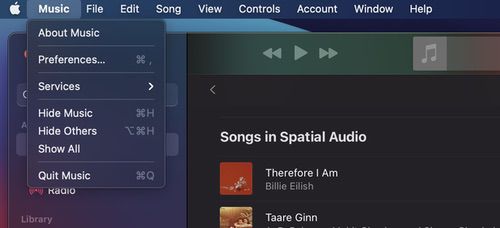 How to Activate Spatial Audio on Apple Music [iOS | macOS | Android] - Step3 1 1