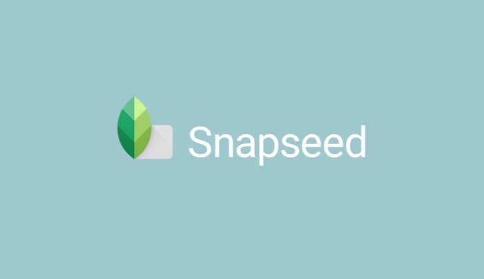 The Best Snapseed Tips to Take Your Photo Editing Game to the Next Level - snapseed google android