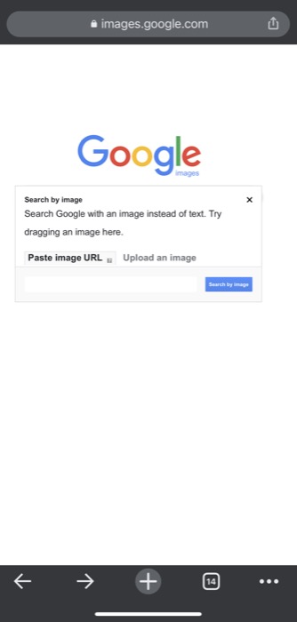 reverse image search using iPhone