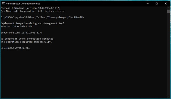 dism health check complete