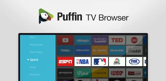 Puffin browser Google TV