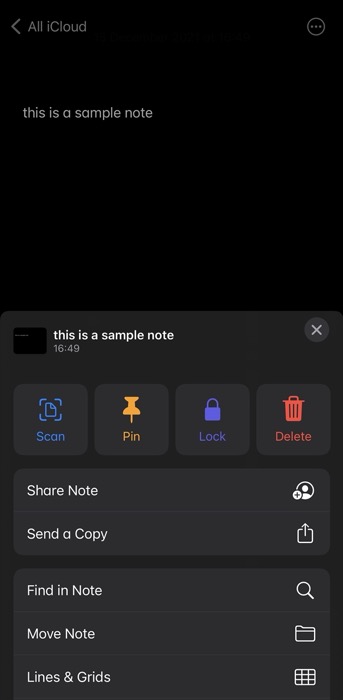 set a Notes password on iPhone