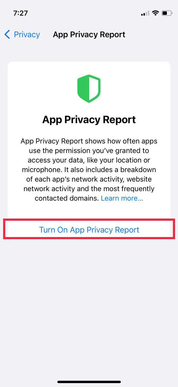 turn on app privacy report