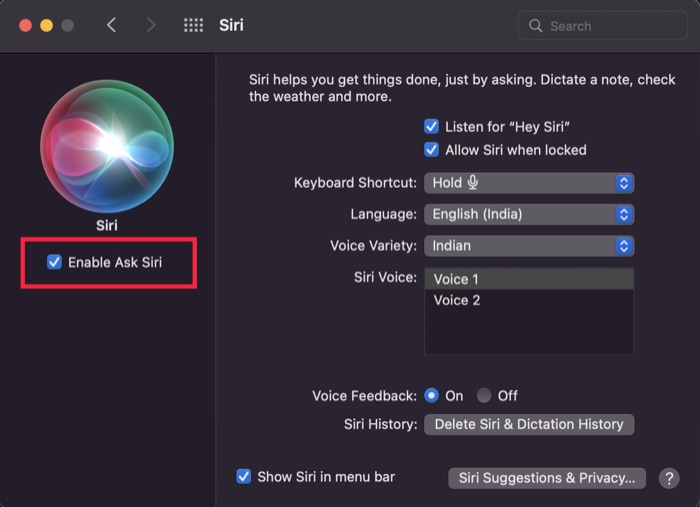 enable Hey siri mac