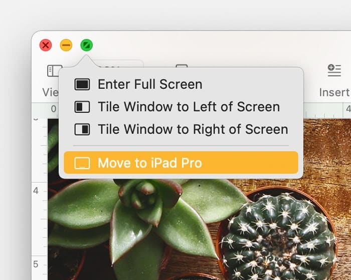 move app window to iPad 