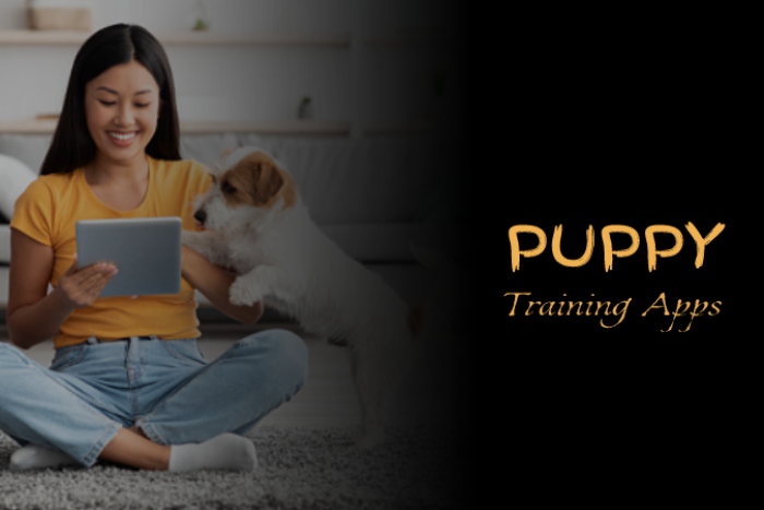 Best Puppy Training Apps