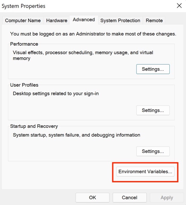 Windows 11 environmental variables