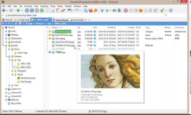 XYplorer- File Manager for Windows 