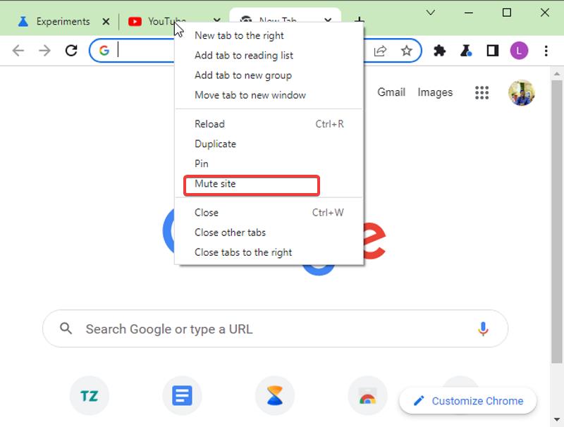 Mute a tab in Chrome:Mute Site