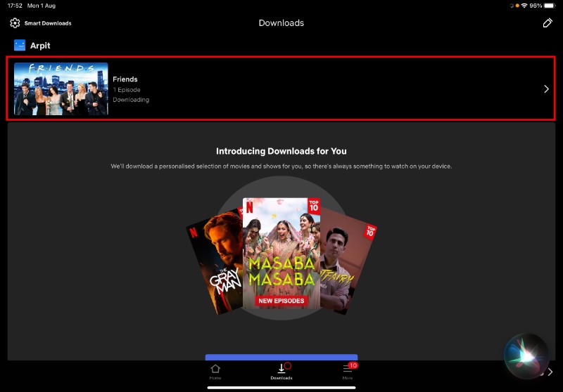 download movies and shows netflix iPad my downloads