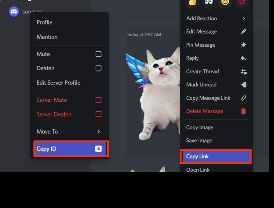 discord reactive PNG - custom CSS