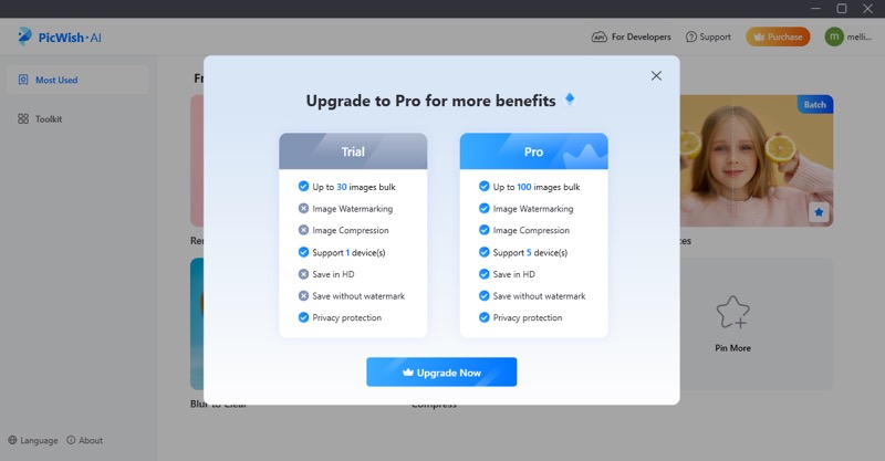 picwish plan comparison