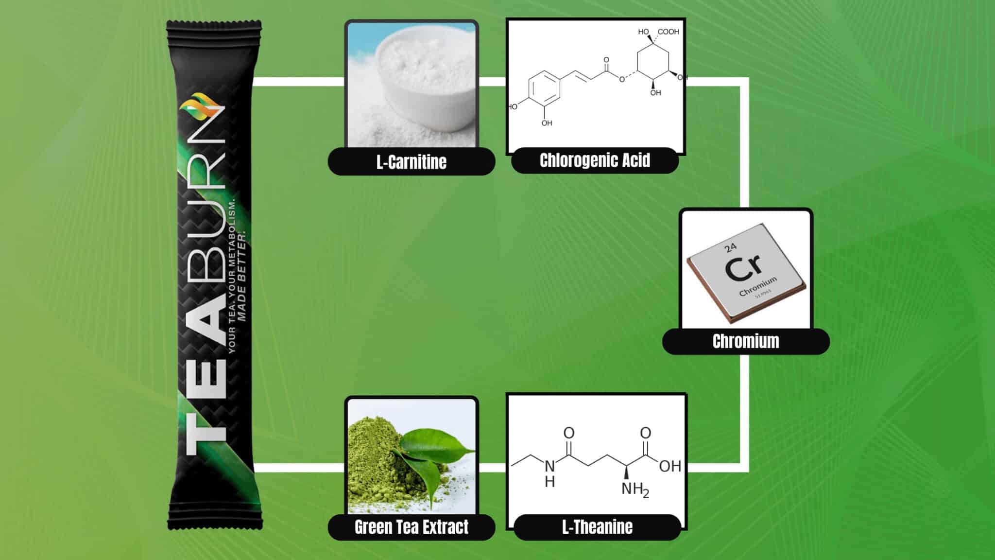 Tea Burn Ingredients scaled