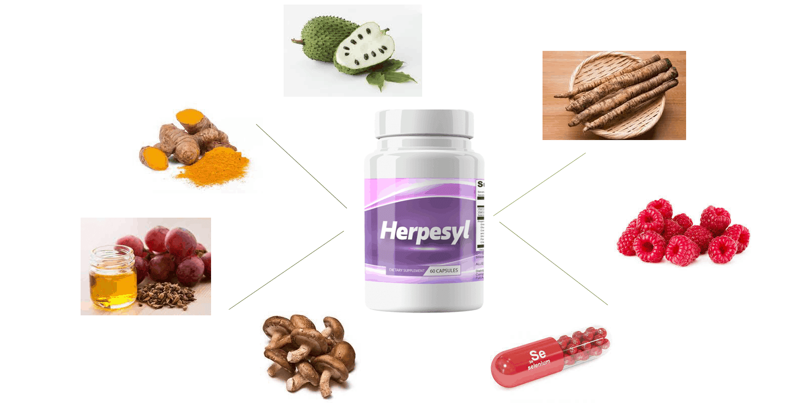 Herpesyl ingredients 1 1