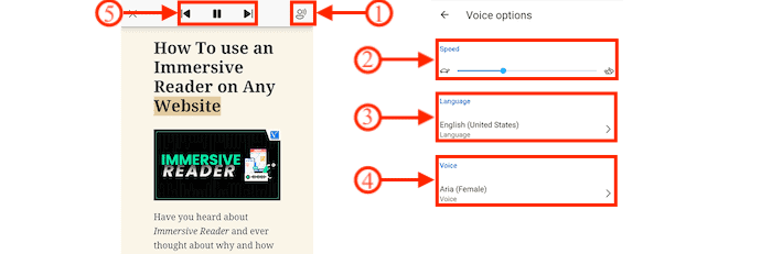 Options vocales dans Microsoft Edge