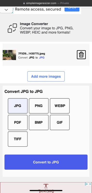 selecting output format in simple image converter