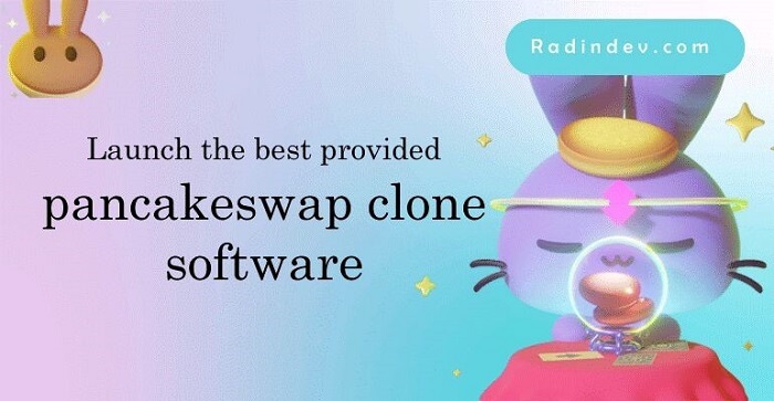 Software de clonare Pancakeswap