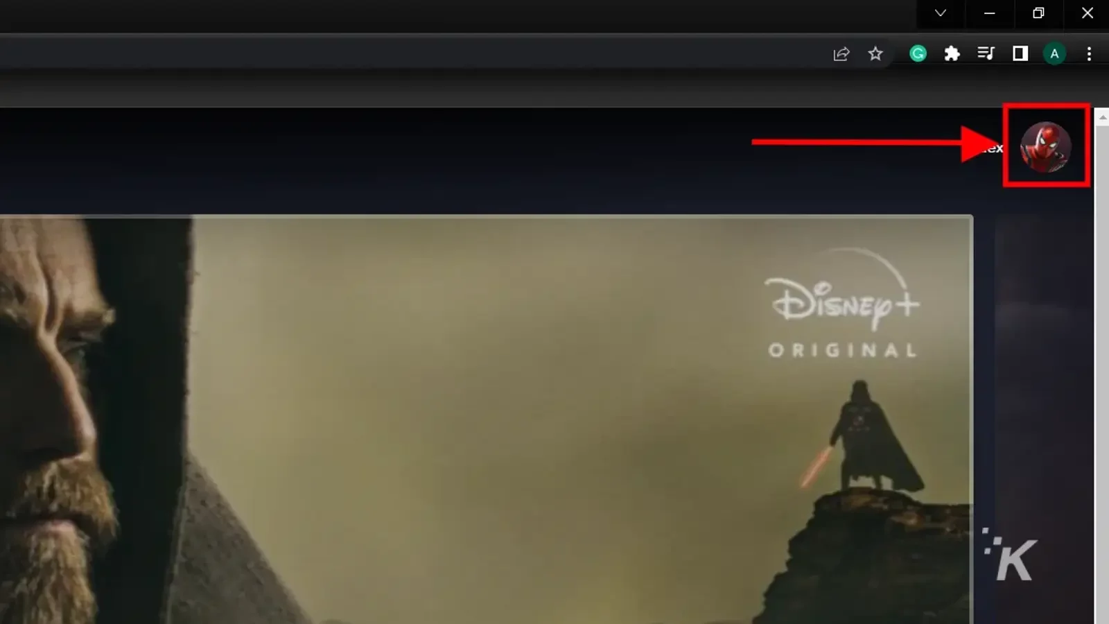 foto del profilo disneyplus