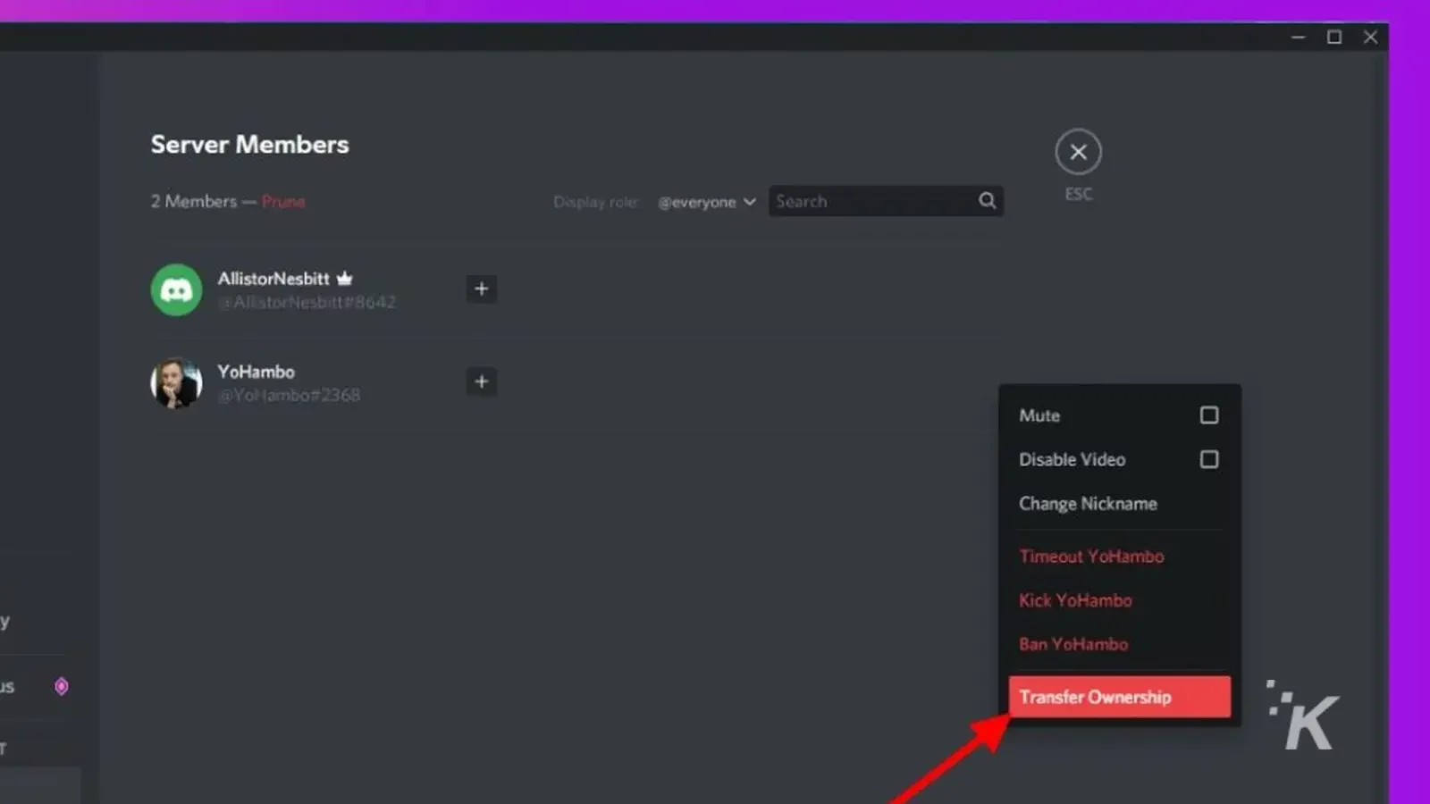 Proprietatea serverului de transfer discord