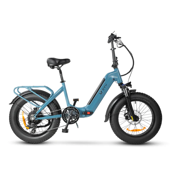 Bici elettrica per pneumatici grassi DYU FF500