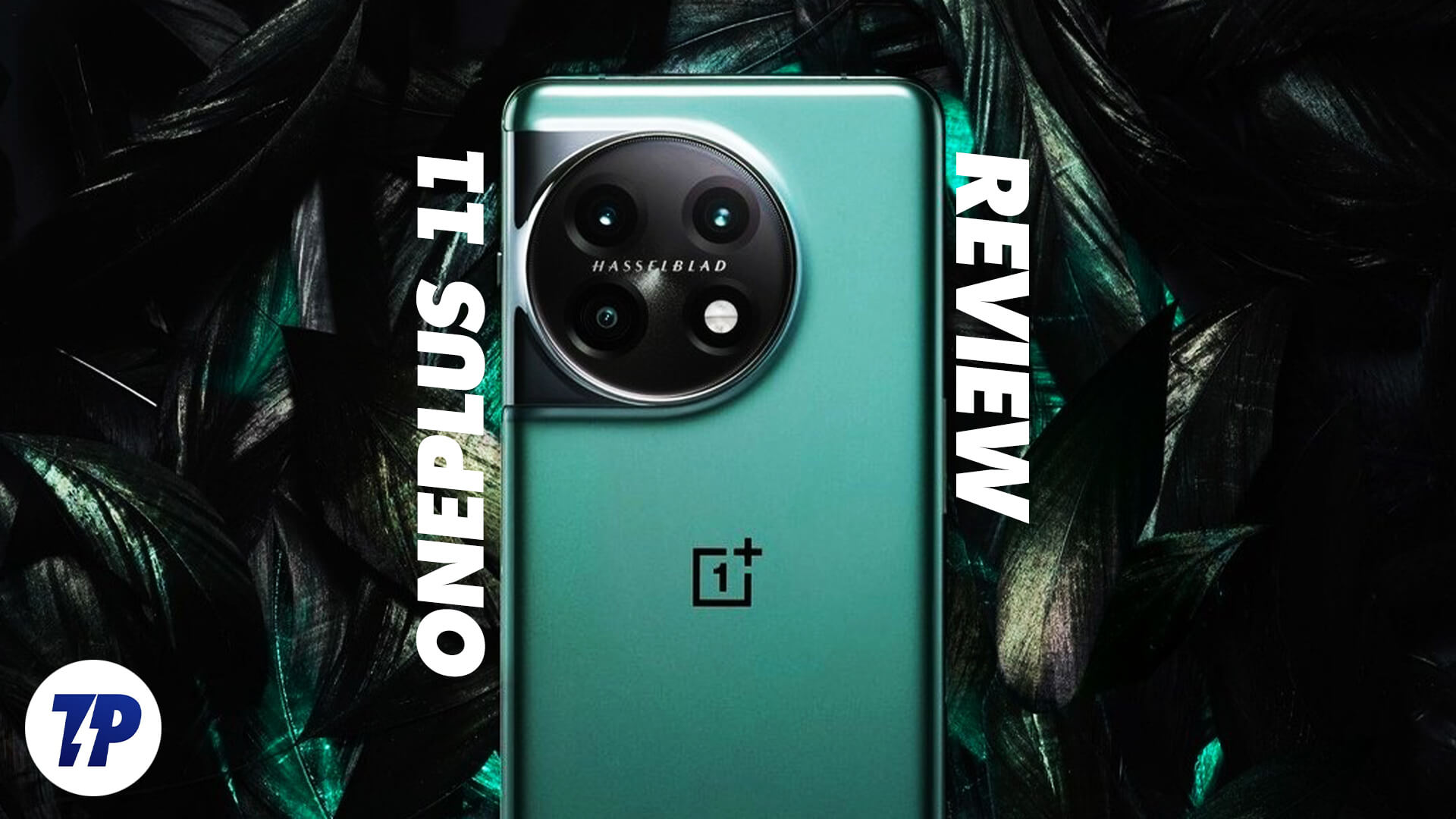 oneplus 11 review