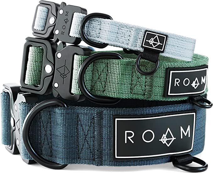 roam smart dog collar