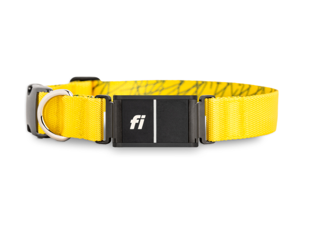 best fi dog collar