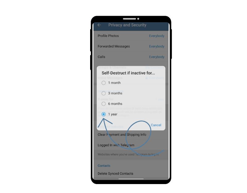 image showing telegram delete account