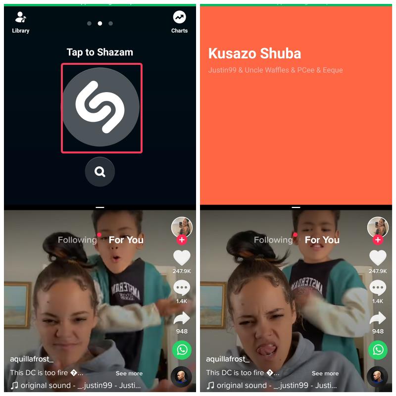 tiktok song finder: shazam