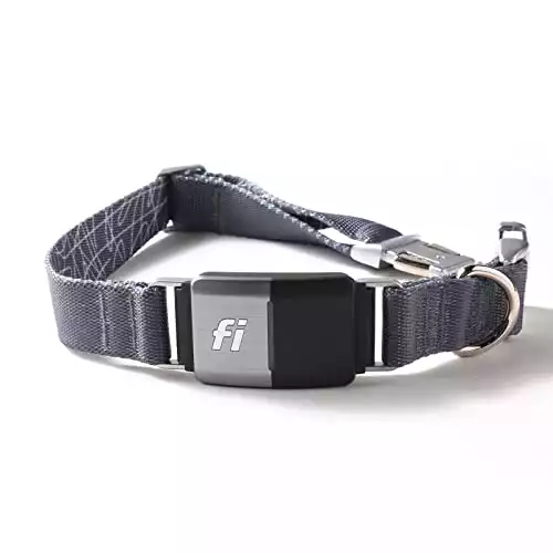 Fi Smart Dog Collar - GPS ドッグトラッカー