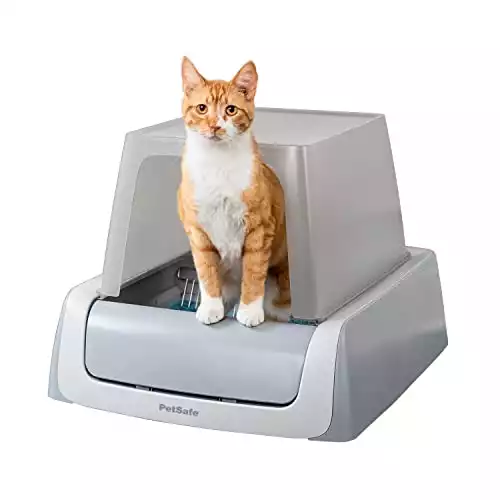 PetSafe ScoopFree Selbstreinigende Katzentoilette