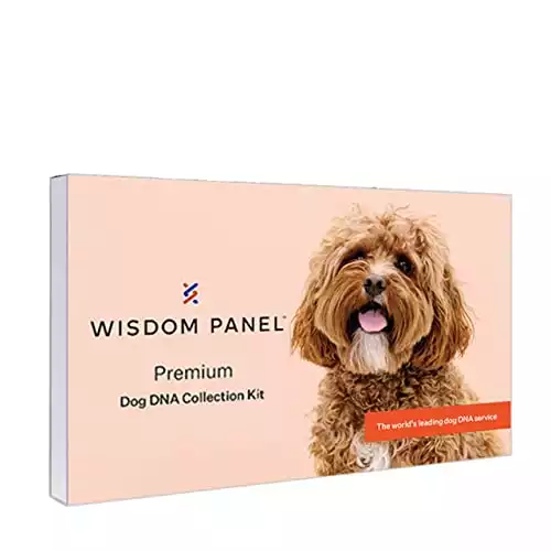 Wisdom Panel Premium：狗 DNA 测试