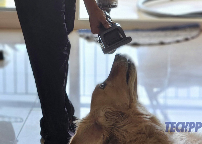 dyson pet grooming review