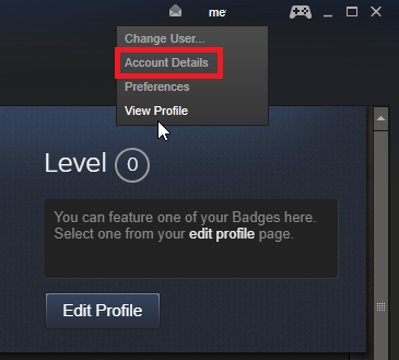 Steam Client Account Details