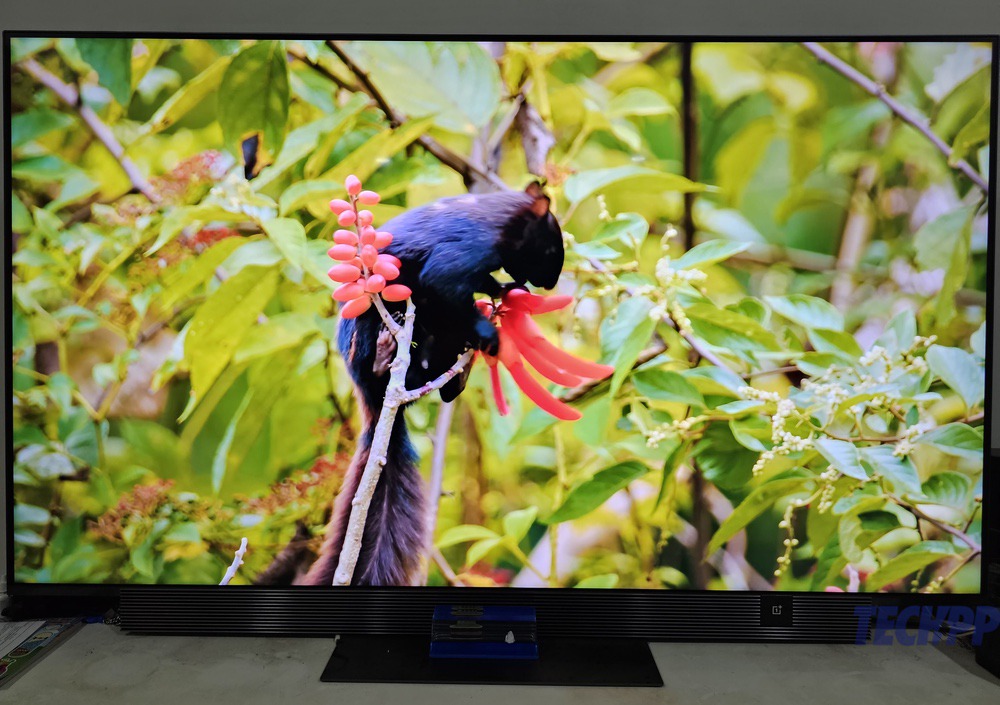 oneplus tv 65 q2 pro display