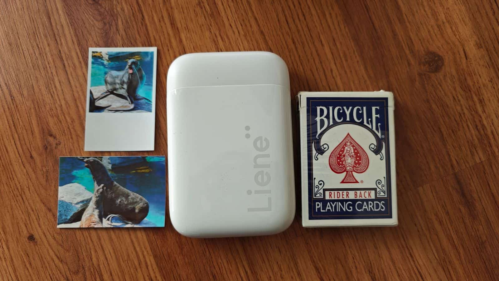 騎自行車的人一邊騎自行車一邊玩紙牌遊戲。全文：BICYCLE RIDER BACK PLAYING CARDS Liene