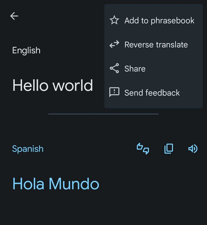 add to phrasebook on google translate