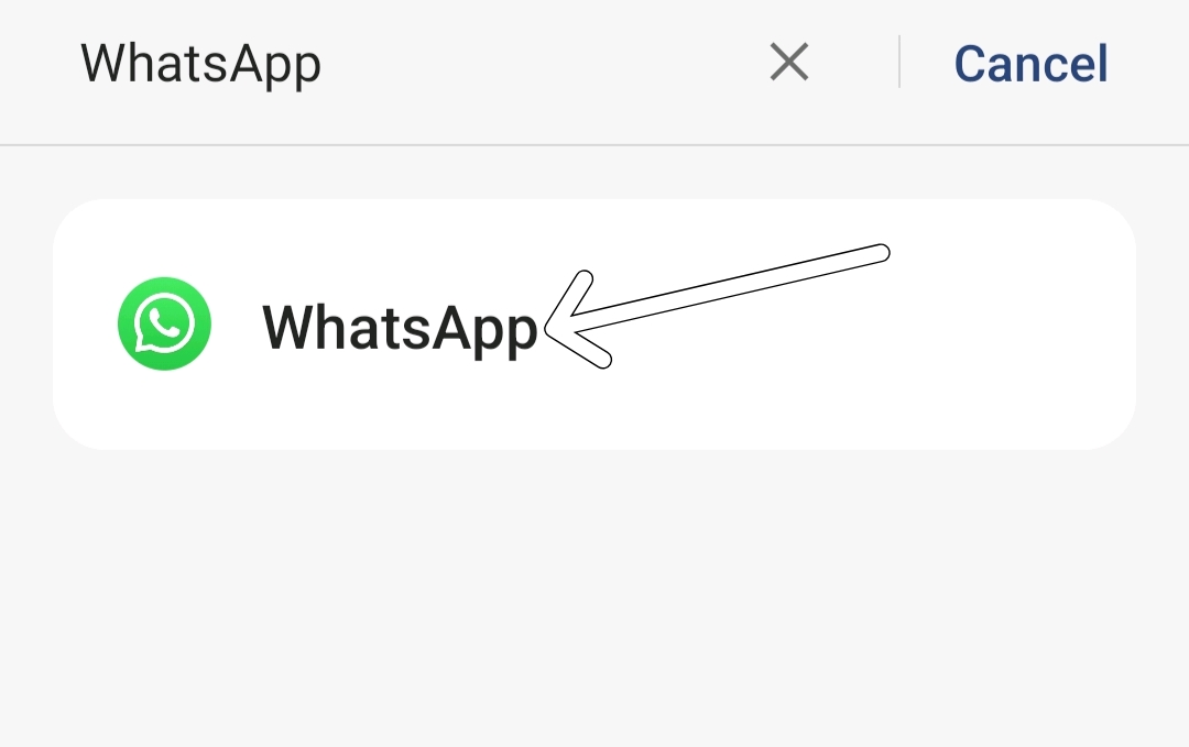 whatsapp app in the list of apps