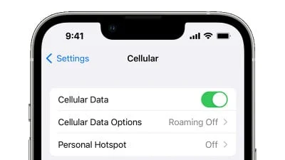 cellular data