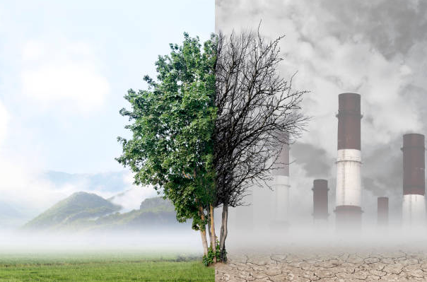 Contaminación del aire vinculada a problemas de salud ¿Hay una salida?