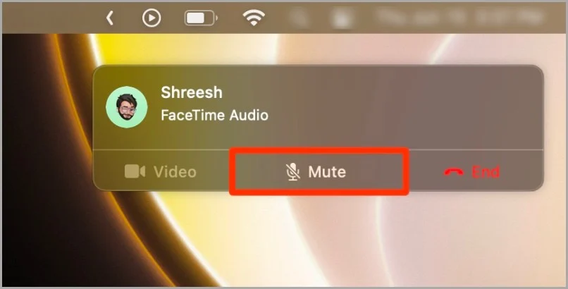 mute facetime audio calls on mac