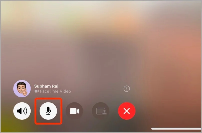 mute facetime video calls on ipad