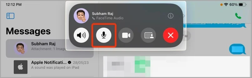 mute facetime audio calls on ipad