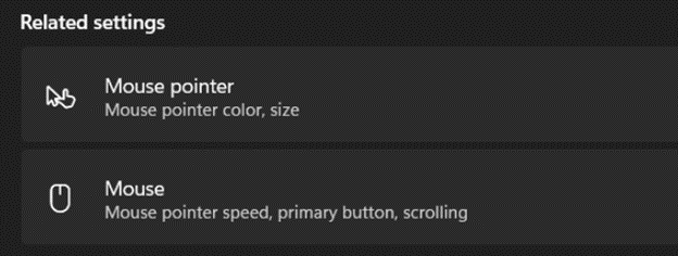 Mouse settings section of the control panel