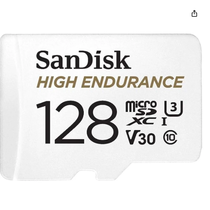 high endurance card from sandisk